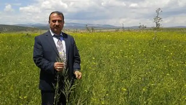 Beyşehir'de yem bitkileri üretimi artıyor