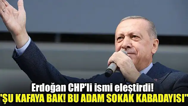 Erdoğan CHP'li ismi eleştirdi!  'Şu kafaya bak! Bu adam sokak kabadayısı'
