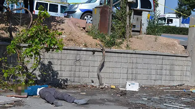 ÇIKTIĞI DİREKTEN DÜŞEREK ÖLDÜ