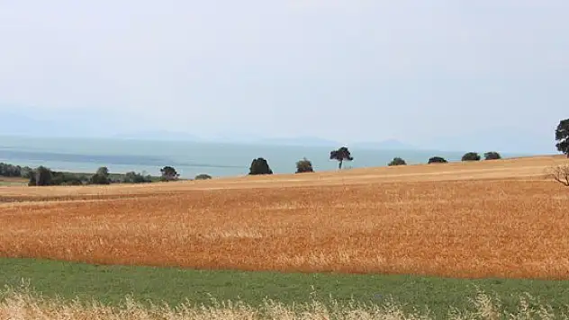 Yağışlar Beyşehir Gölü Havzası çiftçisinin yüzünü güldürdü
