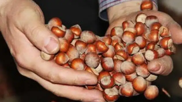 TÜRK DEVİ İTALYANLARA SATILDI