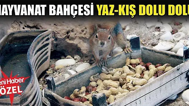Karatay hayvanat bahçesi yaz-kış dolu dolu