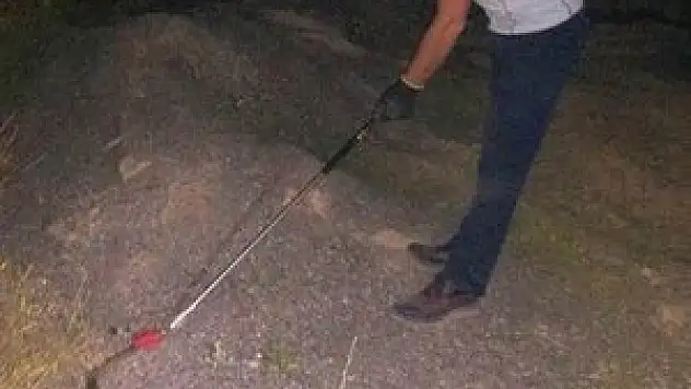 İtfaiyenin arı ve yılan mesaisi