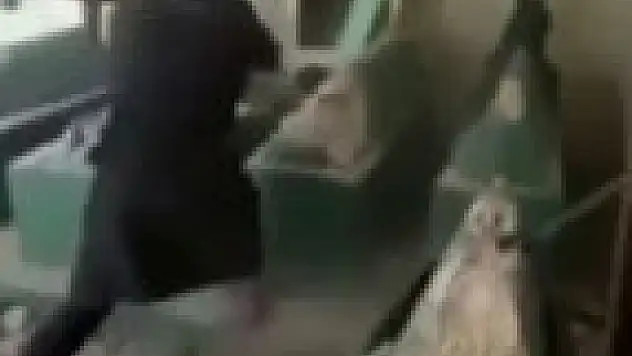 Yunus Peygamber'in mezarını yıktılar