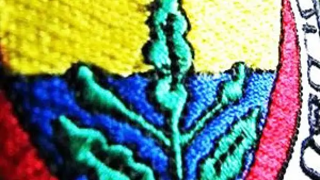 F.Bahçe'nin yeni transferi İstanbul'da