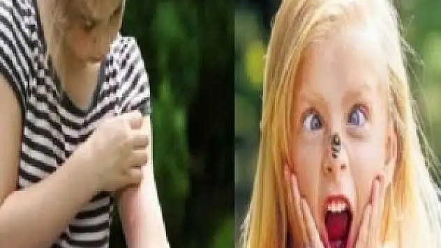 Böcek ısırıklarından korunmanın yolları