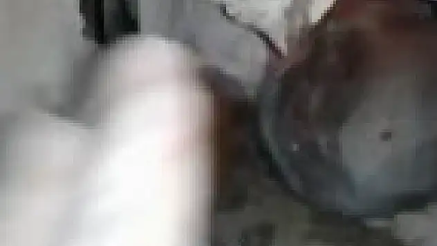 Suriye'de mucizenin adı iki aylık bebek