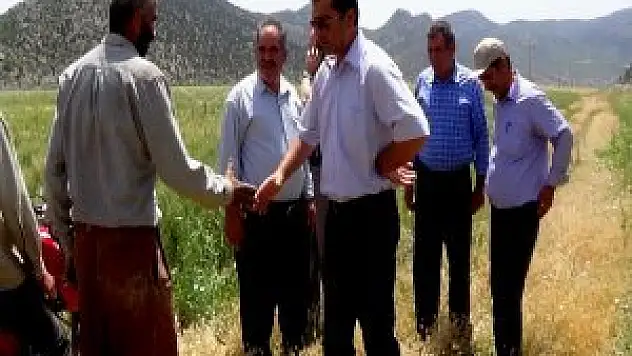 Hazine arazilerine destekleme istiyorlar