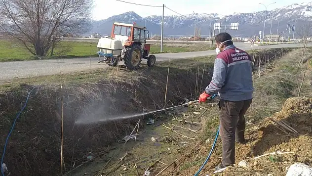 Seydişehir Belediyesinden larva mücadelesi