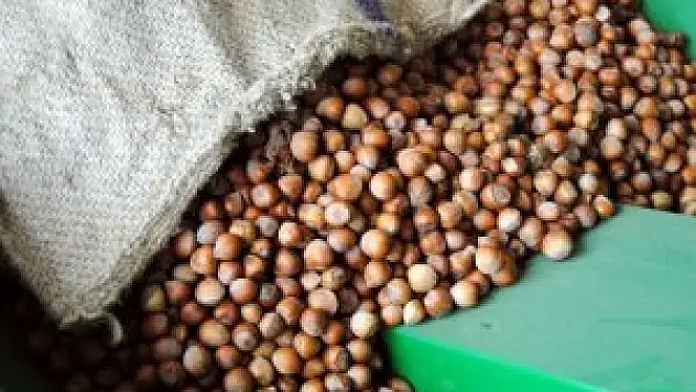 Oltan Gıda, İtalyan Ferrero'ya satıldı