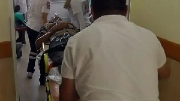 Arı soktu hastanelik oldu