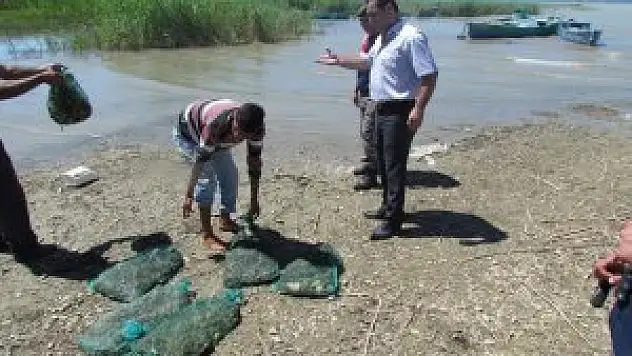 Konya'da kaçak kurbağa operasyonu