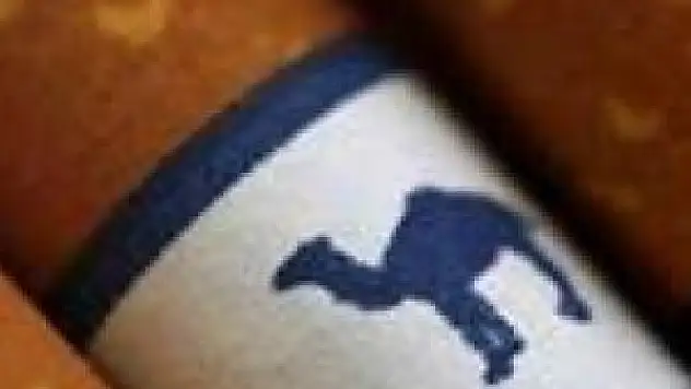 Sigara firmasına inanılmaz ceza!