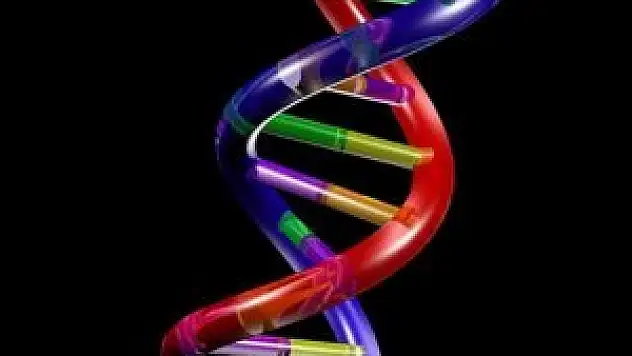 Türk bilim adamından kansere karşı ''DNA onarımı'' buluşu