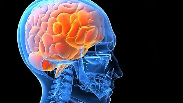 Orucun beyin üzerindeki inanılmaz etkisi