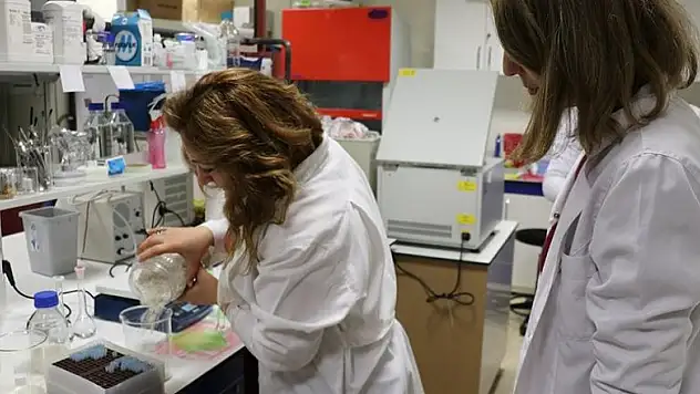 Atık sudan antimikrobiyal ambalaj ürettiler