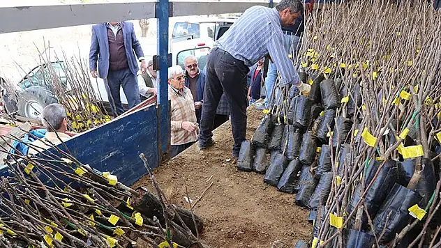 Hadim'de çiftçilere fidan dağıtıldı