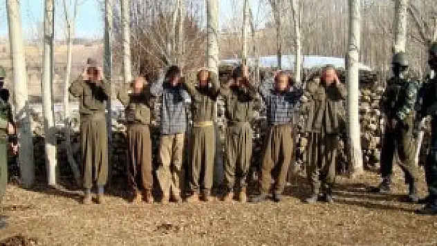 12 terörist teslim oldu