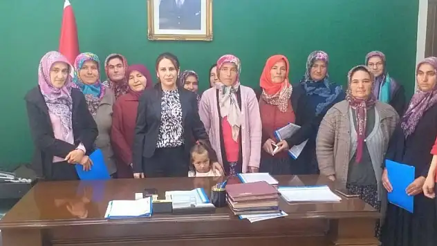 Derbent'te kadınlar da çilek üretecek