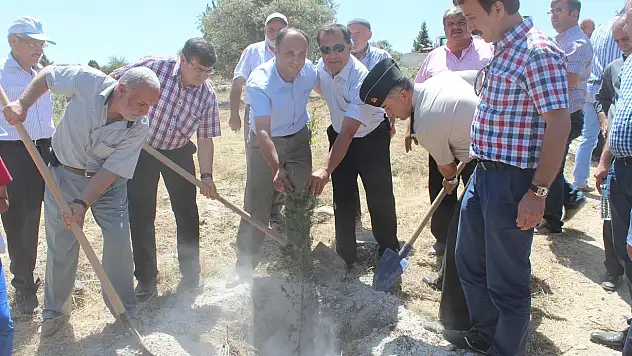 Beyşehir'de mezarlıklar ağaçlandırılıyor