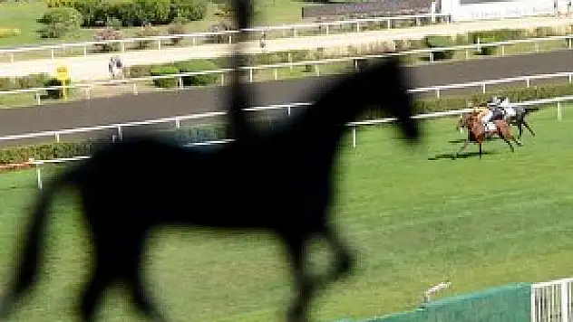 Başbakanlık Kupasını 'Village Wind' kazandı