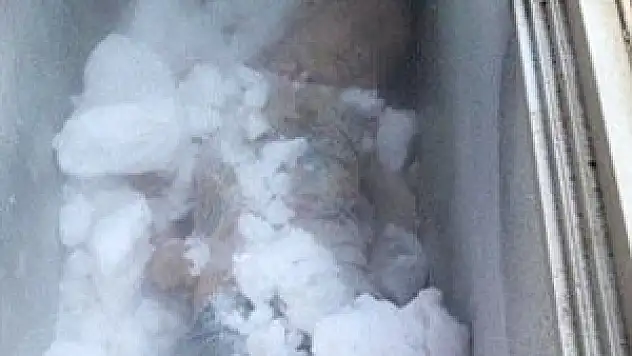 Ölen çocuklarını derin dondurucuda saklıyorlar
