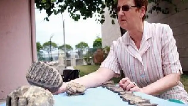 2 milyon yıllık mamut fosili