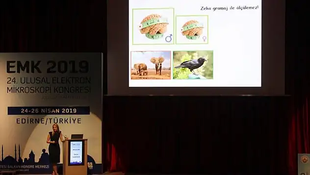 Erkek beyni kutucuklardan kadın beyni alanlardan oluşuyor