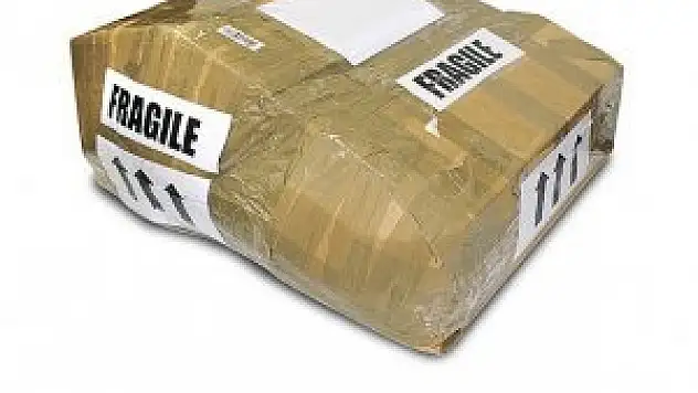 Kargoyla bonzai kaçakçılığına darbe