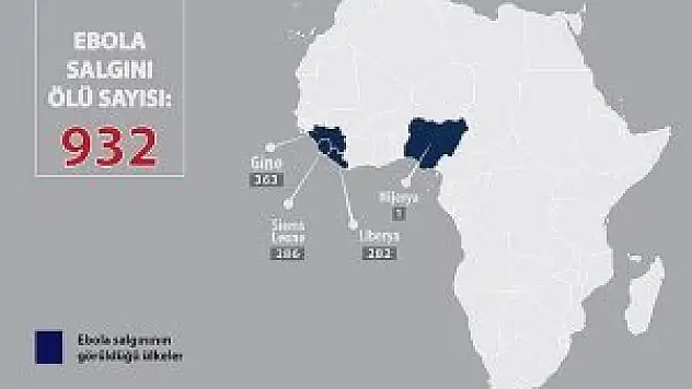 Salgın diğer ülkelerin kamu sağlığı için de risk
