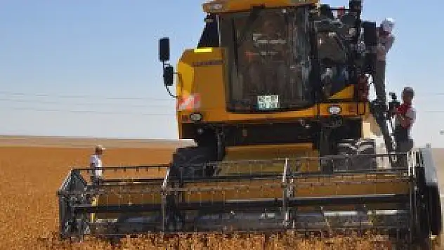 Konya'da aspir hasadı