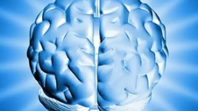 İnsan beyninin gizemi çözülüyor