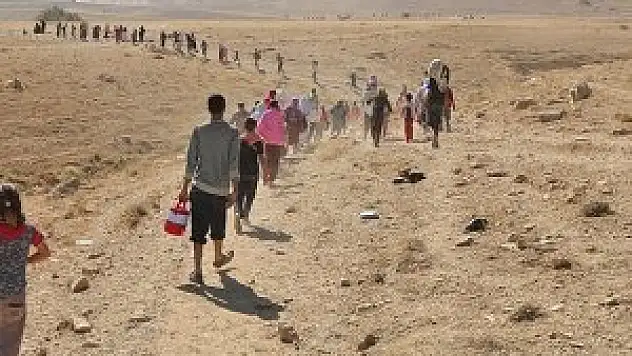 Yezidilerin 'ölüm yürüyüşü'
