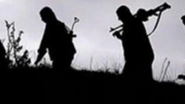 15 PKK'lı teslim oldu