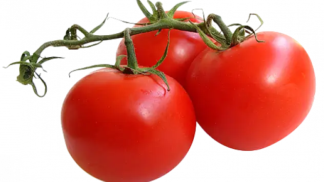 Konya'da çiftçi, organik tarıma yöneliyor