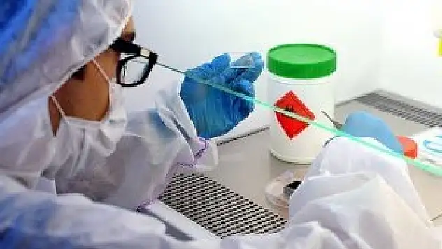 DSÖ Ebola için deneysel ilaçların yolunu açtı