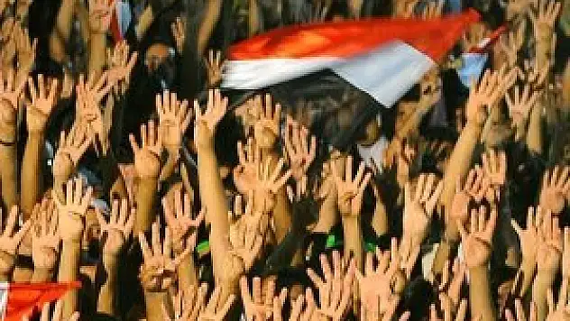 Dünya Rabia Günü sergisine büyük ilgi