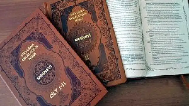 Mevlana'nın mesajı 7 dile daha çevriliyor