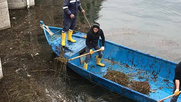 Beyşehir Gölü'nde sahil temizliği yapıldı