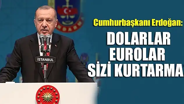 Cumhurbaşkanı Erdoğan: Dolarlar, Eurolar sizi kurtarmaz