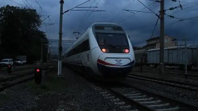 Tren yolu 'kuşların göç yolu' üzerinde değil