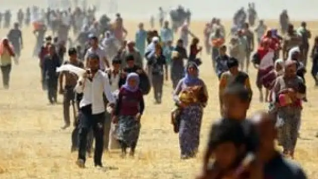300 Yezidi serbest bırakıldı
