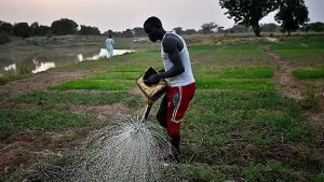 Kara kıtada terör bahane arazi satışları şahane