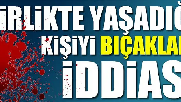Birlikte yaşadığı kişiyi bıçakladığı iddiası