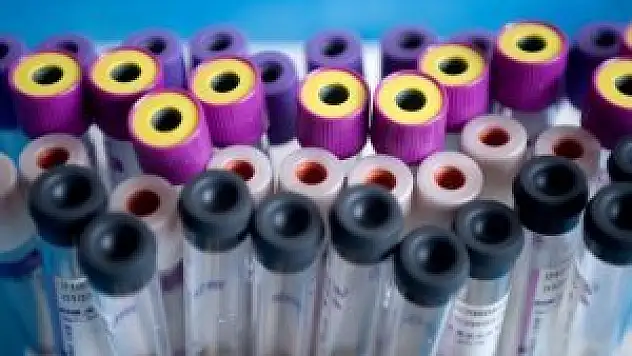 Tek testle 13 farklı kanser türü teşhis edilebilecek