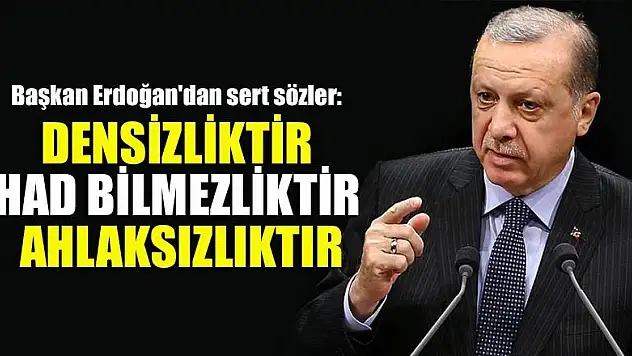 Başkan Erdoğan'dan sert sözler: Densizliktir had bilmezliktir ahlaksızlıktır