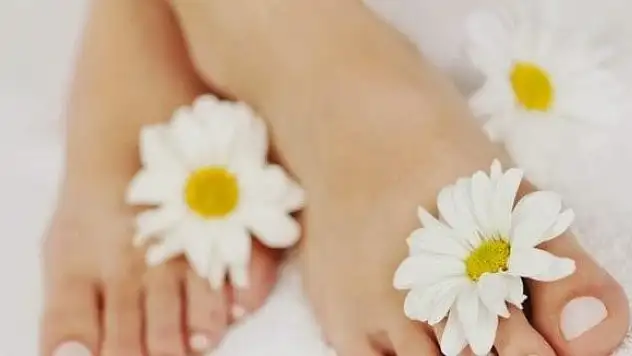 Sonbahar alerjisine dikkat!