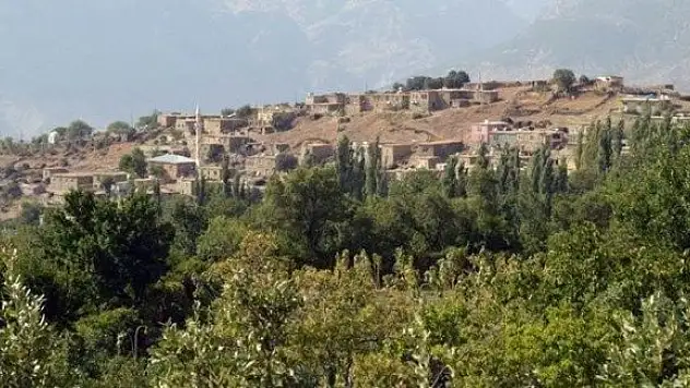 Siirt'te 2 kişi kaçırıldı