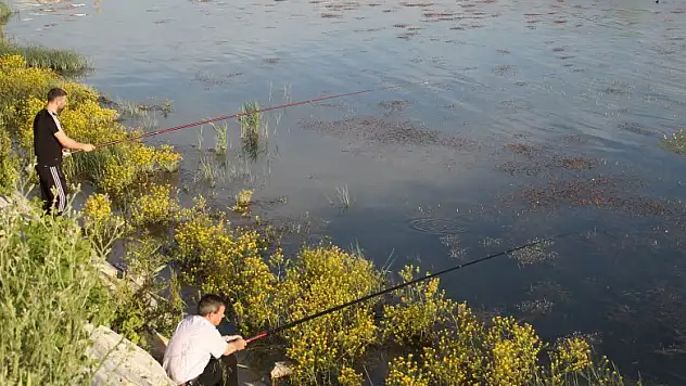 Beyşehir Gölü kıyılarında olta avcılarının meskeni oldu