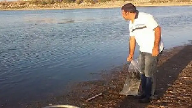 Cihanbeyli Göleti'ne 16 bin balık bırakıldı